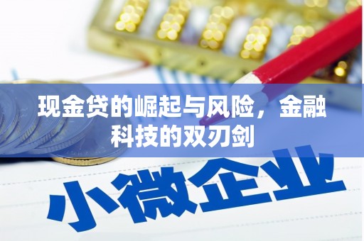 吴起现金贷的崛起与风险，金融科技的双刃剑