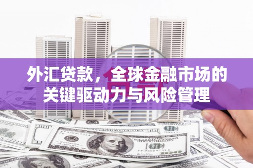 吴起外汇贷款，全球金融市场的关键驱动力与风险管理