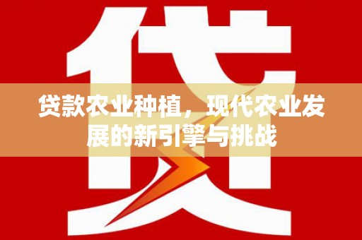 吴起贷款农业种植，现代农业发展的新引擎与挑战