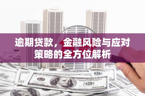 吴起逾期贷款，金融风险与应对策略的全方位解析