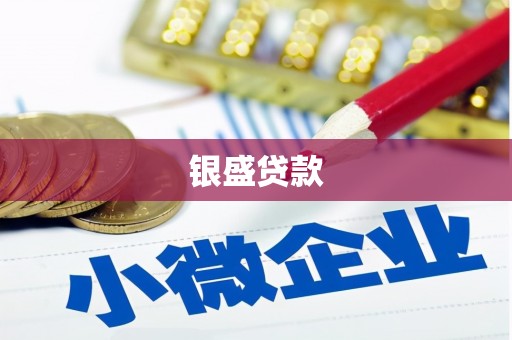 吴起银盛贷款