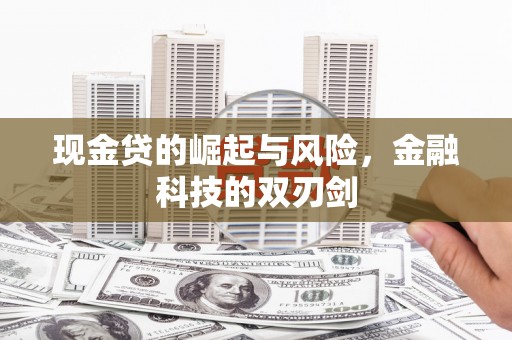 吴起现金贷的崛起与风险，金融科技的双刃剑