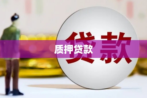 吴起质押贷款