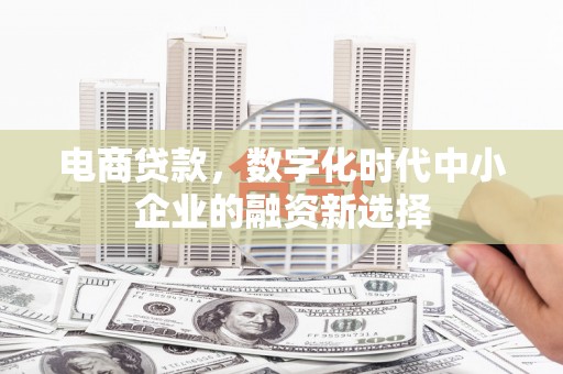 吴起电商贷款，数字化时代中小企业的融资新选择