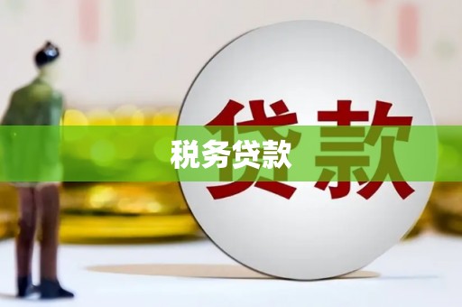吴起税务贷款