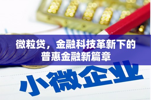 吴起微粒贷，金融科技革新下的普惠金融新篇章
