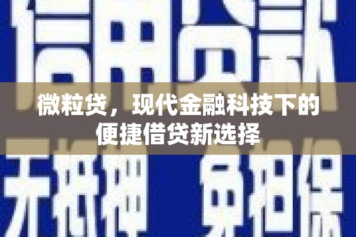 吴起微粒贷，现代金融科技下的便捷借贷新选择