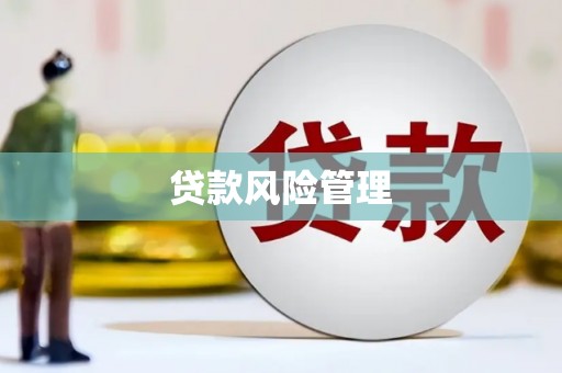 吴起贷款风险管理