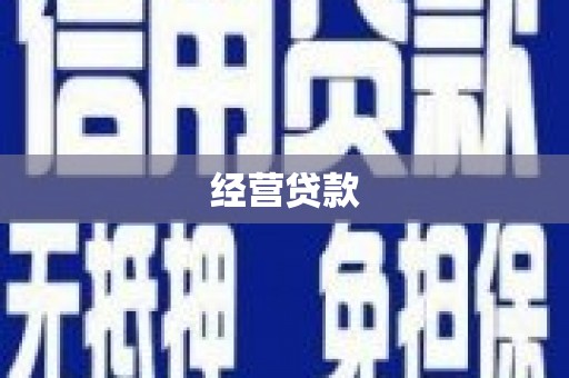 吴起经营贷款