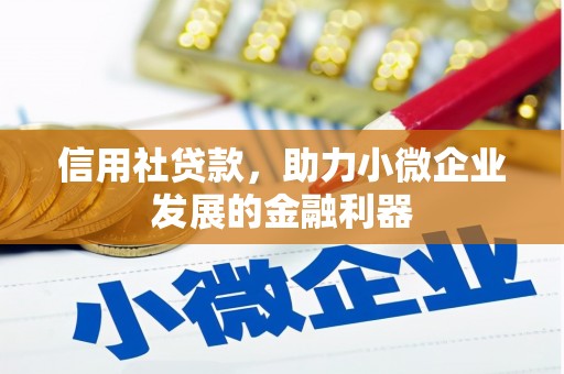 吴起信用社贷款，助力小微企业发展的金融利器