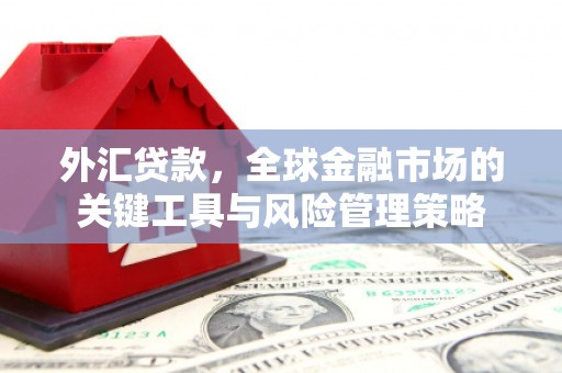 吴起外汇贷款，全球金融市场的关键工具与风险管理策略