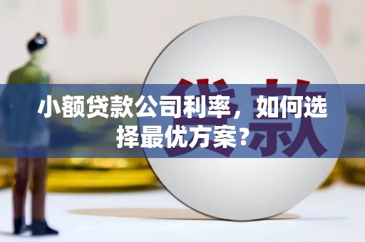 吴起小额贷款公司利率，如何选择最优方案？