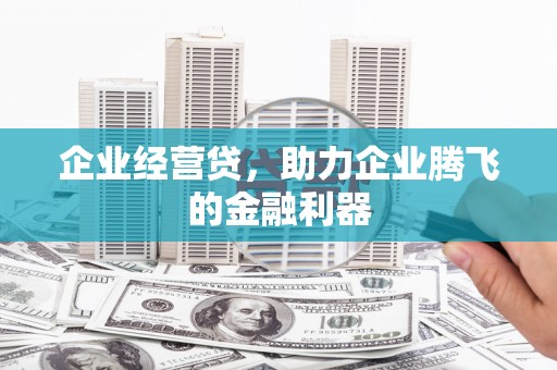 吴起企业经营贷，助力企业腾飞的金融利器