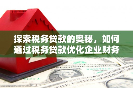 吴起探索税务贷款的奥秘，如何通过税务贷款优化企业财务