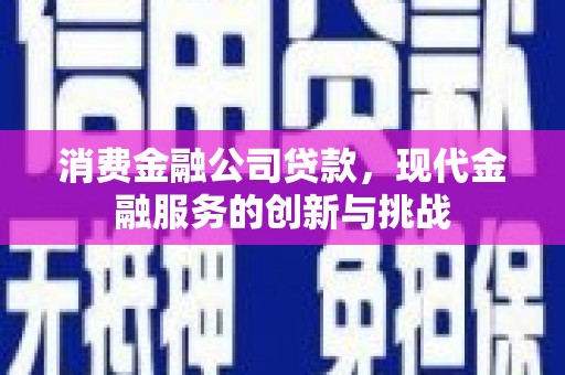 吴起消费金融公司贷款，现代金融服务的创新与挑战