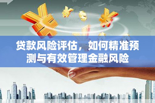 吴起贷款风险评估，如何精准预测与有效管理金融风险