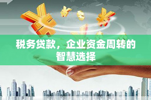吴起税务贷款，企业资金周转的智慧选择