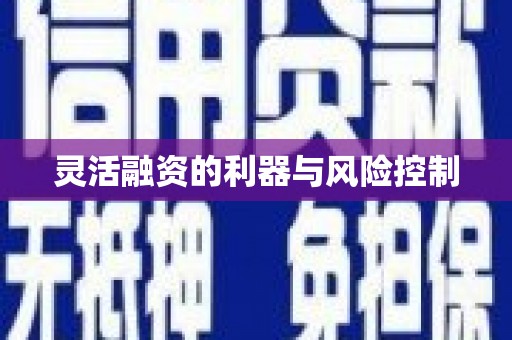 吴起灵活融资的利器与风险控制