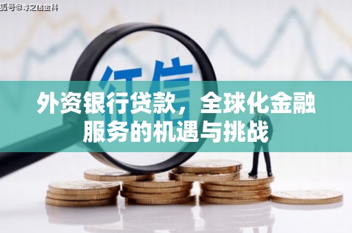 吴起外资银行贷款，全球化金融服务的机遇与挑战