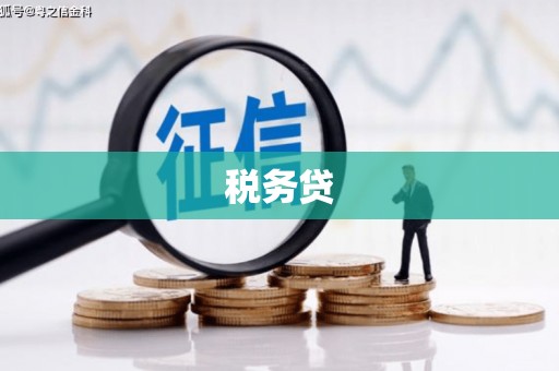 吴起税务贷