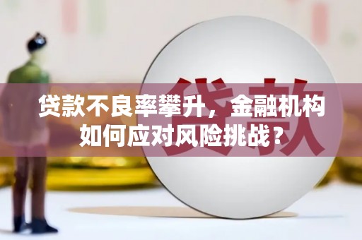 吴起贷款不良率攀升，金融机构如何应对风险挑战？