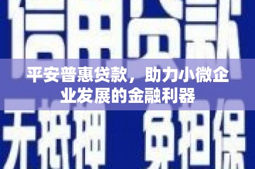 吴起平安普惠贷款，助力小微企业发展的金融利器