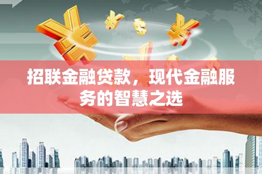 吴起招联金融贷款，现代金融服务的智慧之选