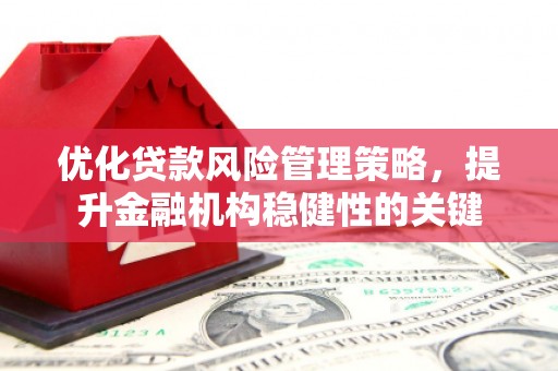 吴起优化贷款风险管理策略，提升金融机构稳健性的关键