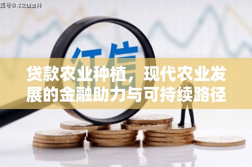 吴起贷款农业种植，现代农业发展的金融助力与可持续路径