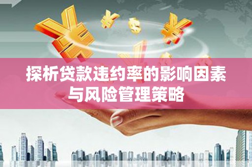 吴起探析贷款违约率的影响因素与风险管理策略
