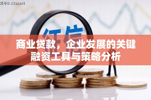 吴起商业贷款，企业发展的关键融资工具与策略分析
