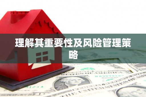 吴起理解其重要性及风险管理策略