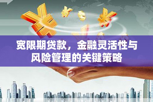 吴起宽限期贷款，金融灵活性与风险管理的关键策略