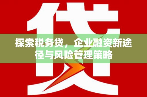吴起探索税务贷，企业融资新途径与风险管理策略