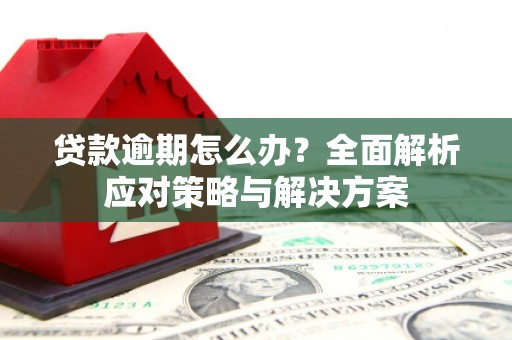 吴起贷款逾期怎么办？全面解析应对策略与解决方案