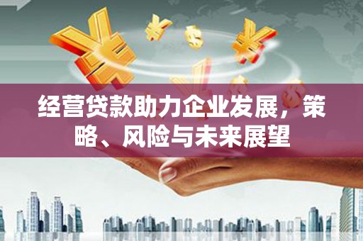 吴起经营贷款助力企业发展，策略、风险与未来展望