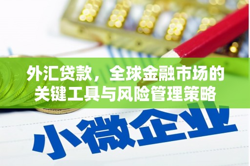 吴起外汇贷款，全球金融市场的关键工具与风险管理策略