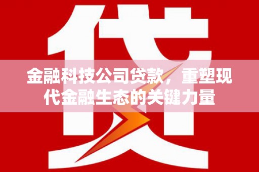 吴起金融科技公司贷款，重塑现代金融生态的关键力量