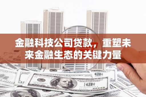 吴起金融科技公司贷款，重塑未来金融生态的关键力量
