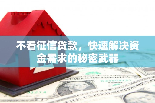 吴起不看征信贷款，快速解决资金需求的秘密武器