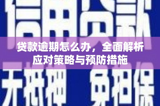 吴起贷款逾期怎么办，全面解析应对策略与预防措施