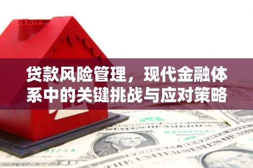 吴起贷款风险管理，现代金融体系中的关键挑战与应对策略