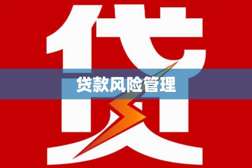 吴起贷款风险管理