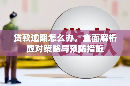 吴起贷款逾期怎么办，全面解析应对策略与预防措施