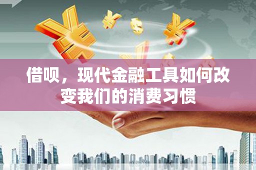 吴起借呗，现代金融工具如何改变我们的消费习惯