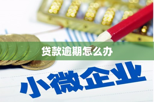 吴起贷款逾期怎么办