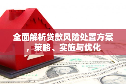 吴起全面解析贷款风险处置方案，策略、实施与优化