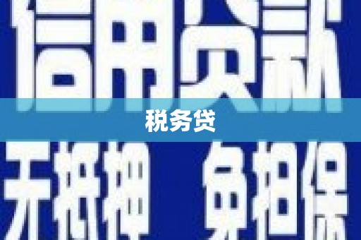 吴起税务贷