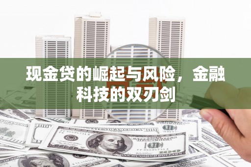 吴起现金贷的崛起与风险，金融科技的双刃剑
