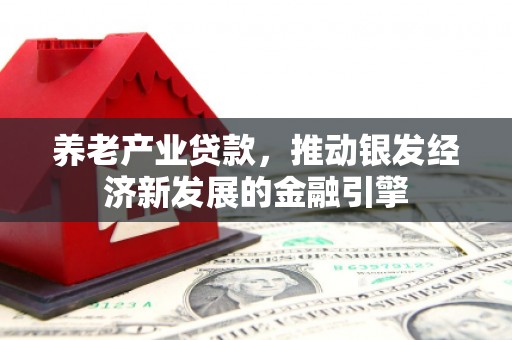 吴起养老产业贷款，推动银发经济新发展的金融引擎